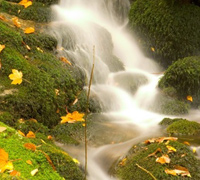 Wasser